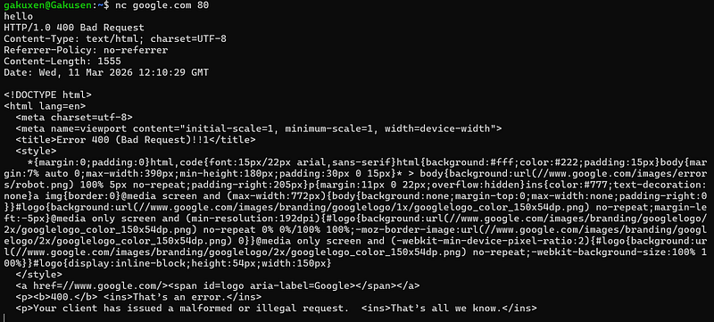 Netcat - TCP Handbook