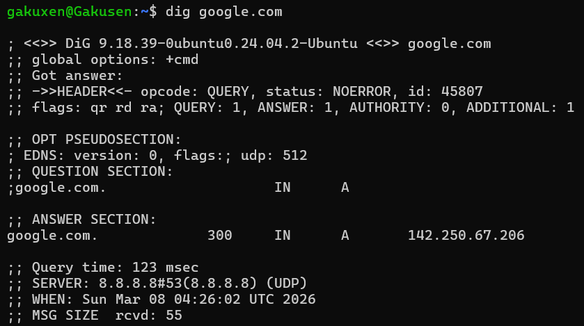 dig google.com - TCP Handbook